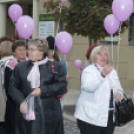 Egészség Hídja Összefogás - Lajtahidi séta