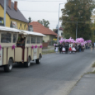 Egészség Hídja Összefogás - Lajtahidi séta
