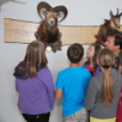 Erdei iskola Arakon (Fotó: Nagy Mária)