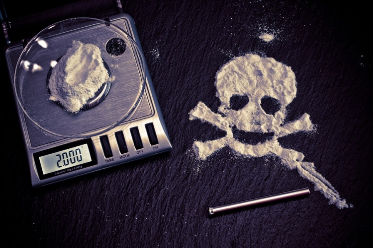 Kétszázhuszonöt kilogramm kokaint foglaltak le Németországban