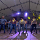 Szigetköz ízei, Vármegye borai Fesztivál (vasárnap) (Fotó: Horváth Attila)