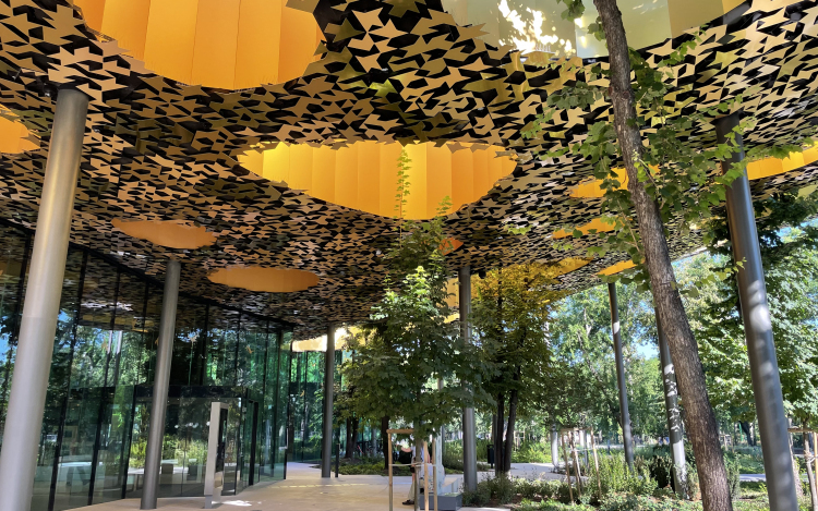 A Neoton 60 évét ünnepli a Magyar Zene Háza pop-up kiállítása