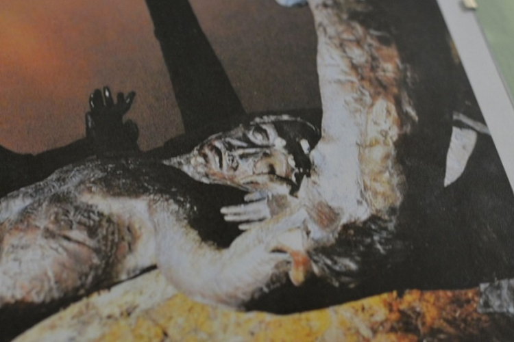 Ötvenhatunk Vásznon és Papíron című kiállítás és megnyitója ( Fotó: Patács Judit )