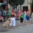 KULT - UTCA Hobbi nap (Fotó: Nagy Mária)