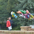 Szigetköz ízei, Vármegye borai Fesztivál (vasárnap) (Fotó: Horváth Attila)