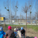 Faültetés óvodásokkal (Fotó: Nagy Mária)
