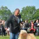 CAC kutyakiállítás (Fotó: Nagy Mária)