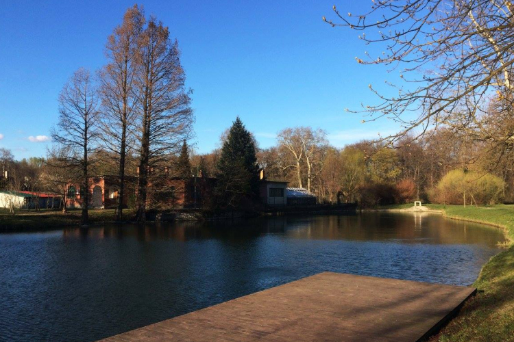 Megtisztult a Vártó