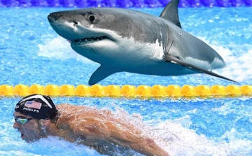Egy cápával versenyzett Michael Phelps