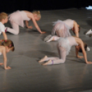 Jótékonysági Műsor