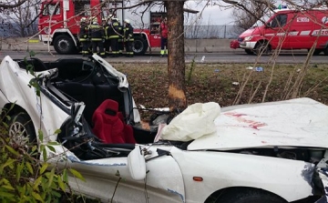 Fának ütközött egy autó a 11-esen Budakalásznál, a sofőr meghalt