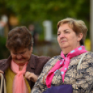 Lajta hídi séta 2015 (fotó: Patács Judit)