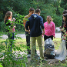 Szemétszedés a Kiserdőben (Fotó: Nagy Mária)