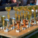 Márkafüggetlen Autós Találkozó Mosonmagyaróvár-Halászi (fotó: Horváth Attila)