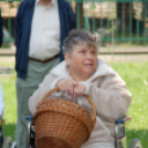 Faültetés az Idősök otthonában