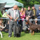 CAC kutyakiállítás (Fotó: Nagy Mária)