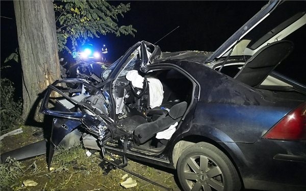 Fának ütközött egy autó Csongrád megyében