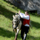 XII. Szigetköz ízei, Vármegye borai Fesztivál 2. nap