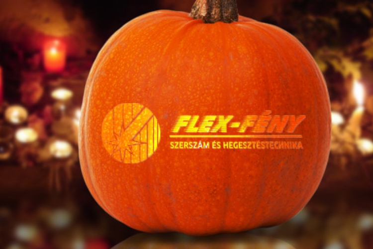 Flex-Fény Kft. – újabb termékek és szolgáltatások a palettán