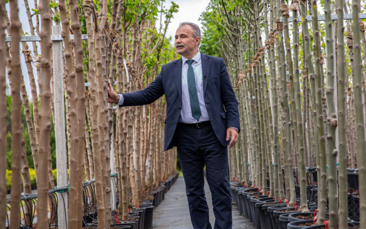 Nagy István: már 184 millió új fát ültettünk erdeinkben