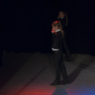 Bántalmazott nők vilgánapja, Jótékonysági műsor a Családok Átmeneti otthona javára