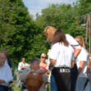 Faültetés az Idősök otthonában