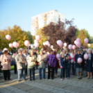 Lajta hídi séta (Fotó: Nagy Mária)