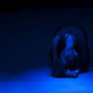 Jótékonysági műsor a Fehér Ló táncos kiscsoportjainak javára.