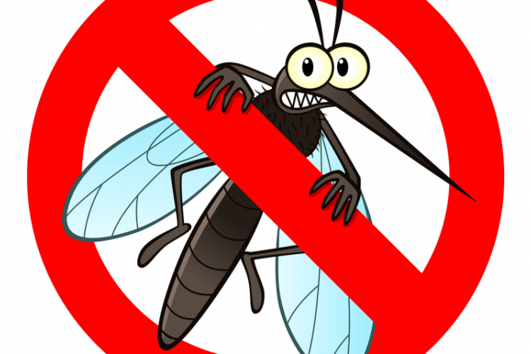 A héten hat vármegyében irtják a szúnyogokat