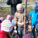 Faültetés óvodásokkal (Fotó: Nagy Mária)