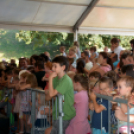 Szigetköz ízei, Vármegye borai Fesztivál 3 nap, 140 Éves Mosonmagyaróvár Város Tűzoltósága (Fotó: Bánhegyi István)