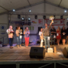 Szigetköz ízei, Vármegye borai Fesztivál (vasárnap) (Fotó: Horváth Attila)