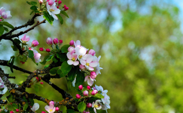 Szombatig meleg, tavaszias idő várható, vasárnap hidegfront hoz lehűlést