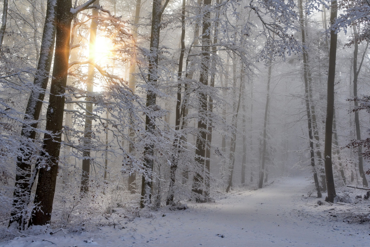 Meteorológia: a jövő hét elején hideg éjszakák jönnek