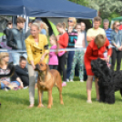 CAC kutyakiállítás (Fotó: Nagy Mária)