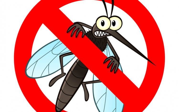 Tizenhat vármegyében és 6 budapesti kerületben irtják a szúnyogokat a héten