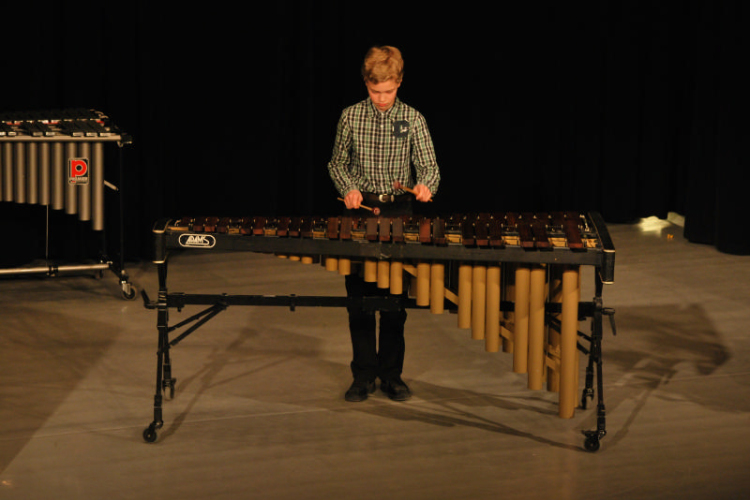 Zeneiskolai növendék hangverseny  (Fotó: Nagy Mária)