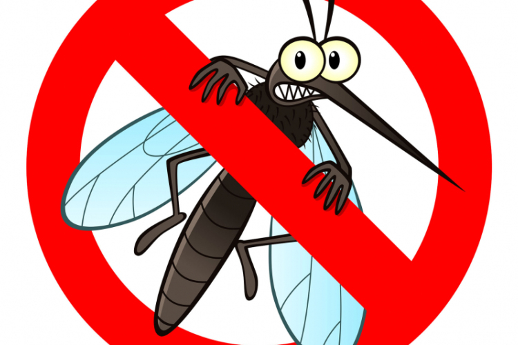 Katasztrófavédelem: 90 ezer hektáron gyérítik a szúnyogokat