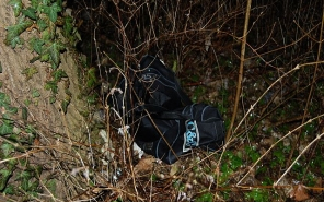 Lopni indultak, lebuktak