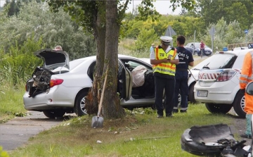 Fának ütközött egy személyautó Szeged határában
