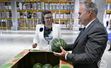 Az agrárminiszter szerint jó minőségű a magyar dinnye