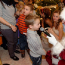 MIKULÁS - NAP (fotó: Horváth Attila)