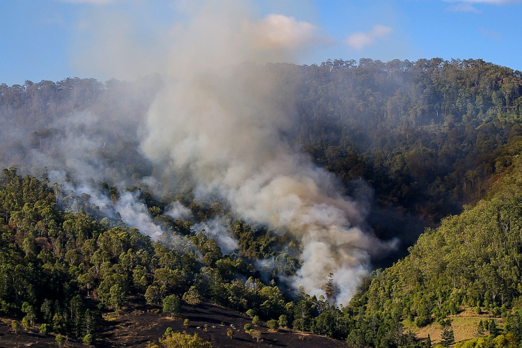Ausztrál őslakosok több ezer éves akvakultúrájának újabb részei tárultak fel a tűzvész nyomán