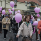 Egészség Hídja Összefogás - Lajtahidi séta