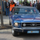 Pannonia-Carnuntum (Fotó: Nagy Mária)