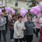 Egészség Hídja Összefogás - Lajtahidi séta