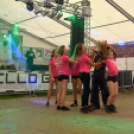 Szigetköz ízei, Vármegye borai Fesztivál (vasárnap) (Fotó: Horváth Attila)