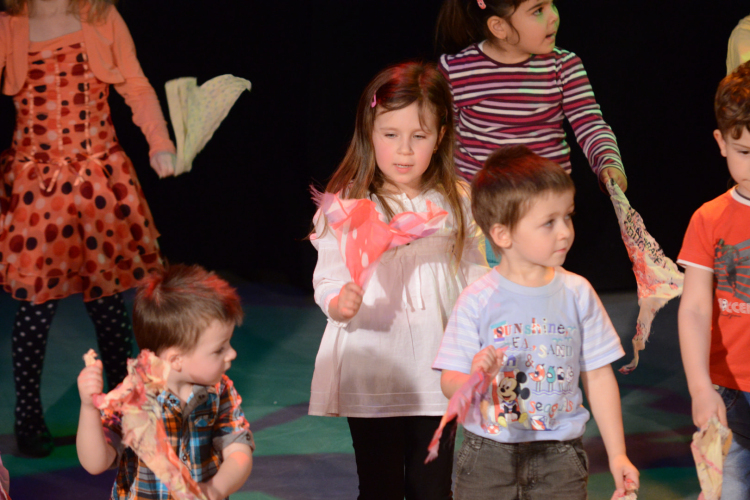 Jótékonysági Műsor