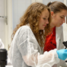 Kutatók éjszakája 2014 Nyugat-magyarországi Egyetem (Fotó: Horváth Attila)