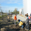 Faültetés a Nolato-nál (Fotó: Nagy Mária)